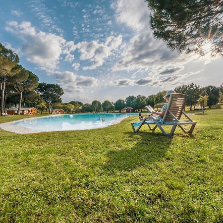 Chalet Do Lago Монтаржил Экстерьер фото