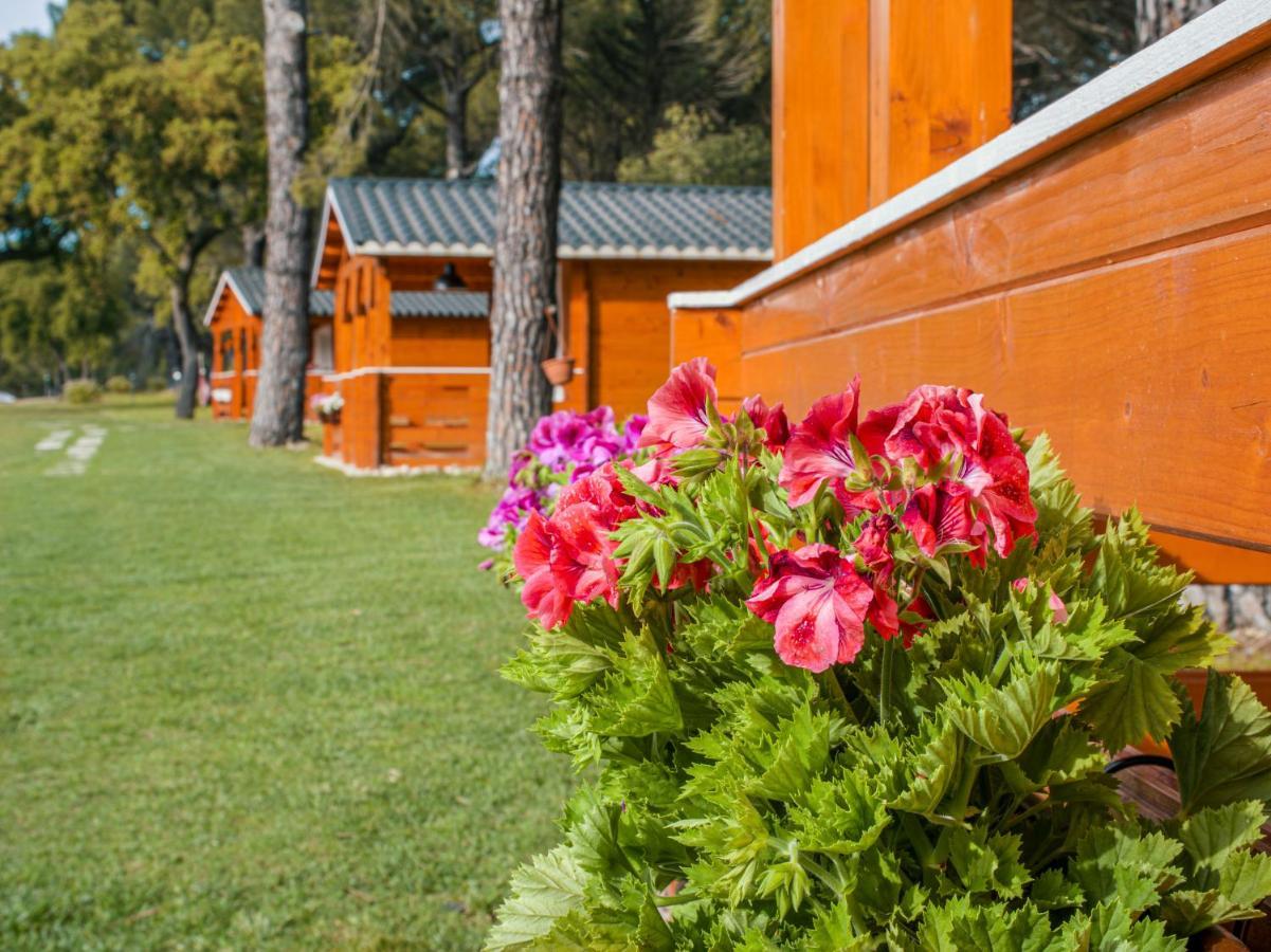 Chalet Do Lago Монтаржил Экстерьер фото